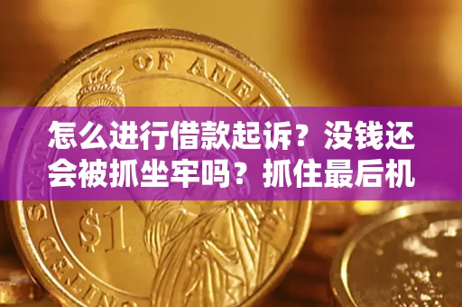 济南怎么进行借款起诉？没钱还会被抓坐牢吗？抓住最后机会！