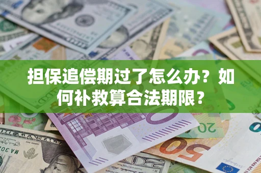济南担保追偿期过了怎么办？如何补救算合法期限？