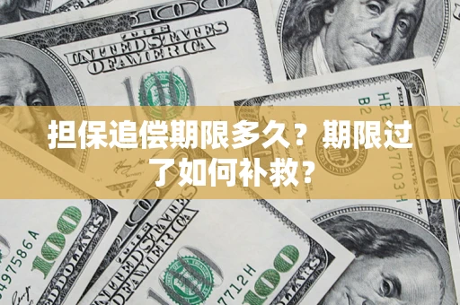 济南担保追偿期限多久？期限过了如何补救？