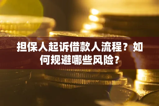 济南担保人起诉借款人流程？如何规避哪些风险？