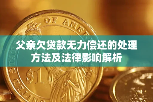 济南父亲欠贷款无力偿还的处理方法及法律影响解析